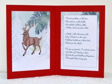 Brown Stag with Snow on Trees, A5 Insert with Verse by Jackie Bullock