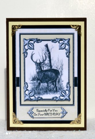 Startled Buck by Jackie Bullock