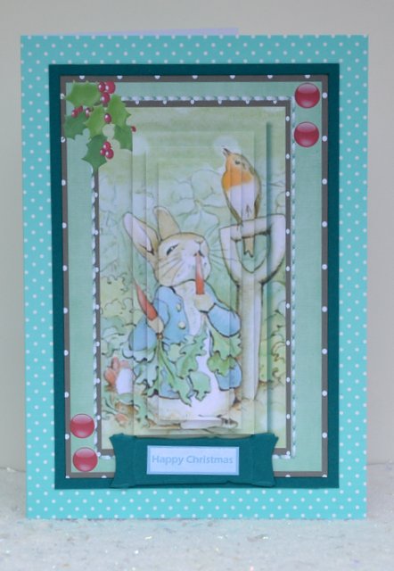 Peter Rabbit and the Christmas Robin by Jackie Bullock