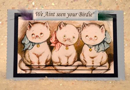We Aint Seen Your Birdie! Cheeky Kitten Pyramids by Jackie Bullock