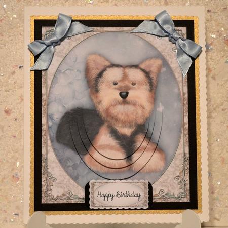 Little Yorkie by Jackie Bullock