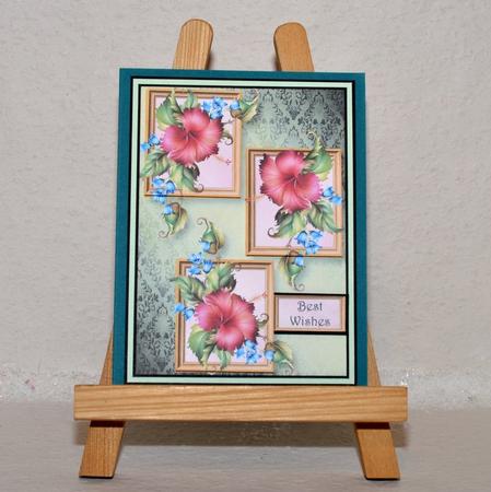 Red Hibiscus Frame Trio by Jackie Bullock