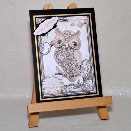 Brown Sparkle Owl with Flowers in Ornate Frame by Jackie Bullock
