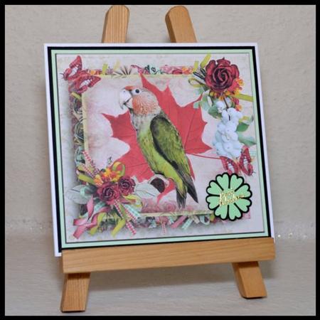 Rose Parrot Card Topper & Decoupage by Jackie Bullock