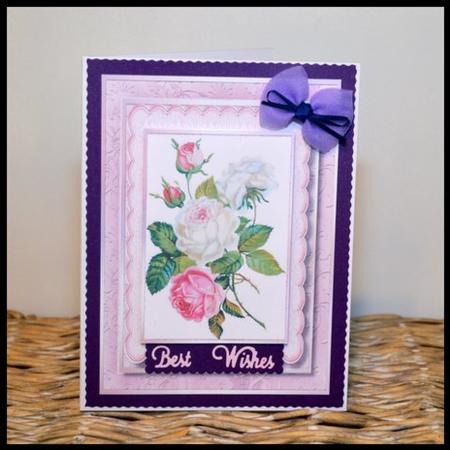 Beautiful Roses in a Pink Scdalloped Frame . by Jackie Bullock