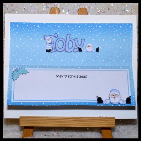 Large Dl Xmas Toby Santa Matching Insert by Jackie Bullock