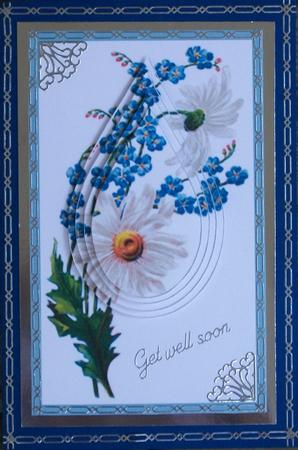 Daisy and Forget-me-not by Jackie Comfort