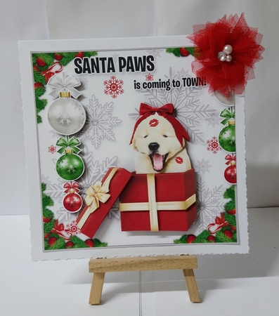 Santa Paws - The Gift by Jackie Odonnell