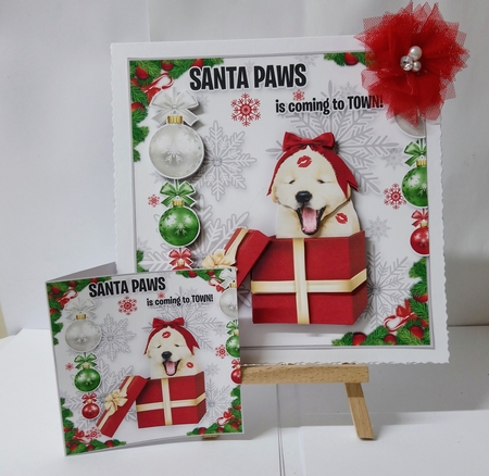Santa Paws - The Gift by Jackie Odonnell
