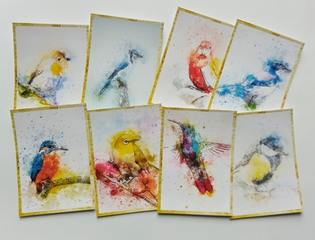 Birds by Jackie Odonnell