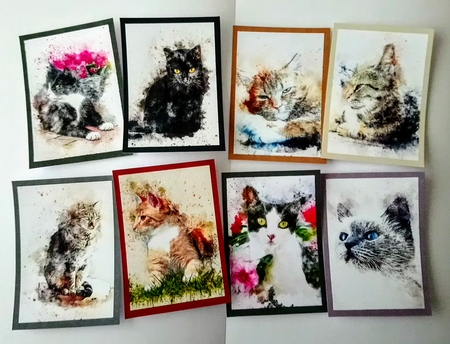 Cats by Jackie Odonnell