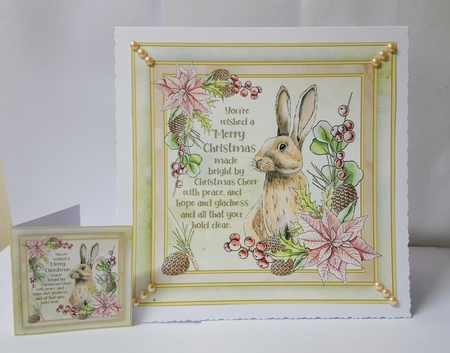 Rabbit Mini Kit by Jackie Odonnell