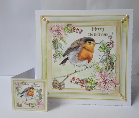 Robin Redbreast Mini Kit by Jackie Odonnell