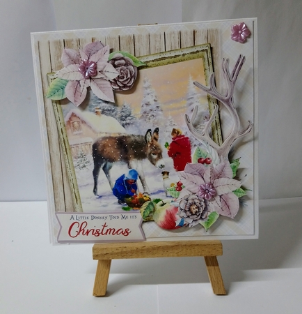 Little Donkey - 5 6x6 & 5 6x4 Card Fronts, 2 Inserts & Backing Paper by Jackie Odonnell