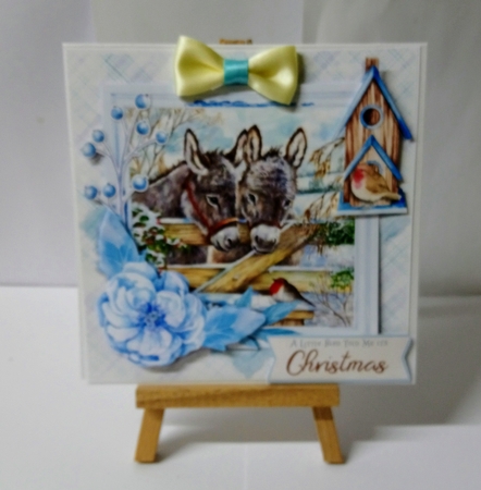 Little Donkey - 5 6x6 & 5 6x4 Card Fronts, 2 Inserts & Backing Paper by Jackie Odonnell