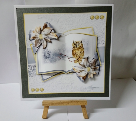 Winter Animals Open Book 6 by Jackie Odonnell