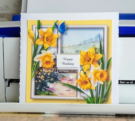 Flowers Of Colours QUICK TOPPER Bumper Kit by Jackie Odonnell