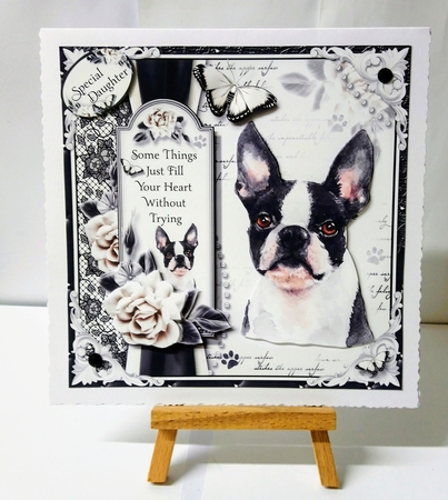The French Bulldog by Jackie Odonnell