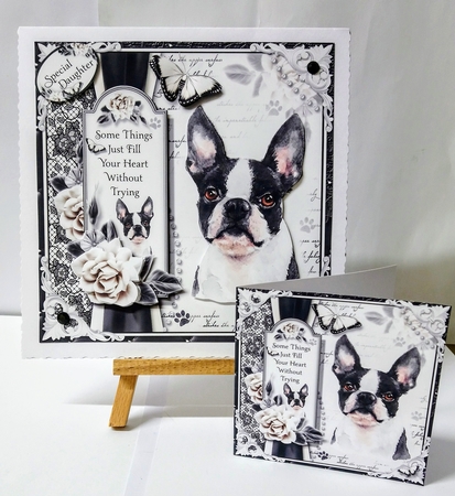 The French Bulldog by Jackie Odonnell