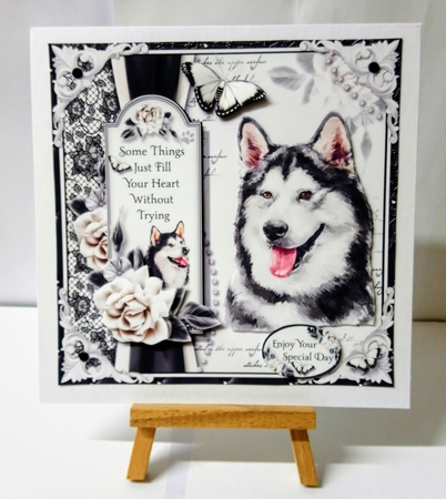 The Husky by Jackie Odonnell
