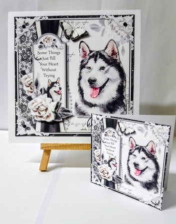 The Husky by Jackie Odonnell
