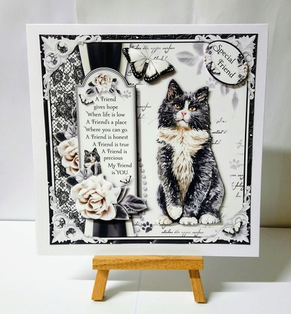 The Black & White Cat by Jackie Odonnell