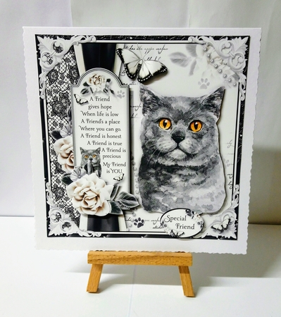 The British Shorthair Cat by Jackie Odonnell