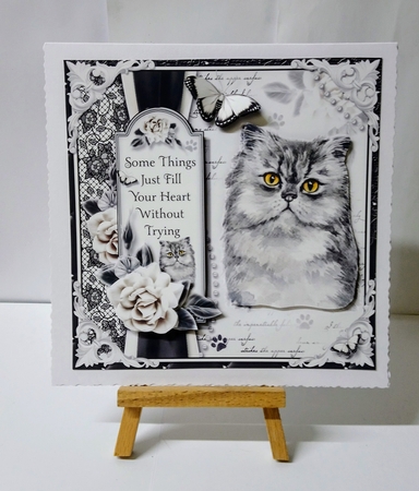 The Persian cat by Jackie Odonnell