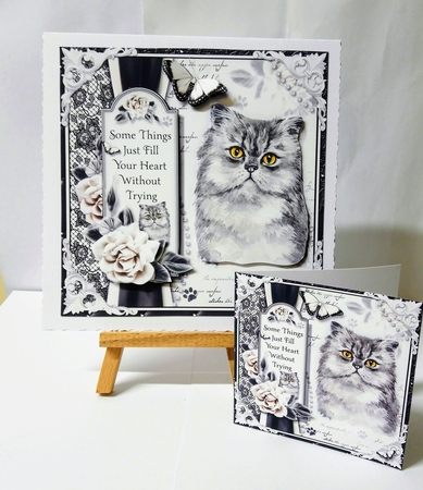 The Persian cat by Jackie Odonnell