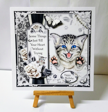 The Playful Kitten by Jackie Odonnell