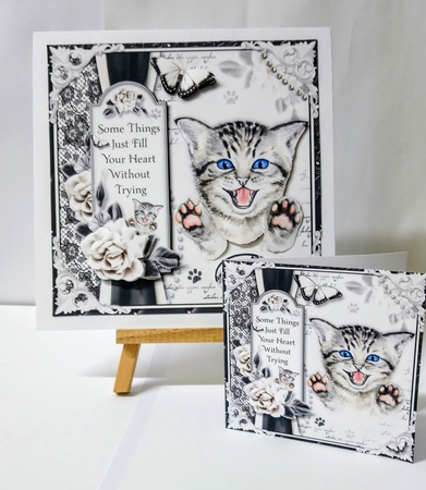 The Playful Kitten by Jackie Odonnell