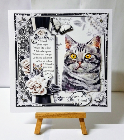 The Tabby Cat by Jackie Odonnell