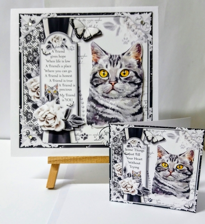 The Tabby Cat by Jackie Odonnell
