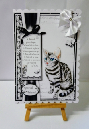A5 Cats Bumper Kit by Jackie Odonnell