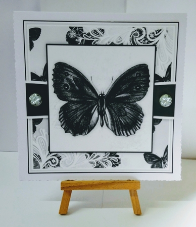 Butterfly X by Jackie Odonnell
