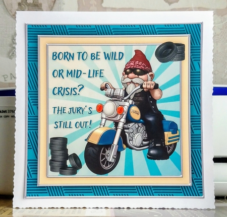 Born to be Wild Birthday Mini Kit by Jackie Odonnell