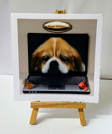 pup by Jackie Odonnell