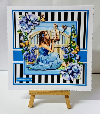 The Bird Cage by Jackie Odonnell