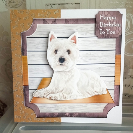 Birthday Terrier Dog Mini Kit by Jackie Odonnell