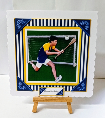 Hurling by Jackie Odonnell