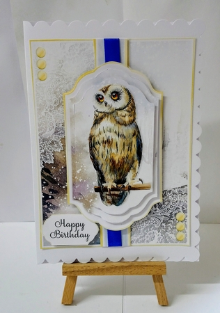 Owl Christmas and Birthday 1 by Jackie Odonnell