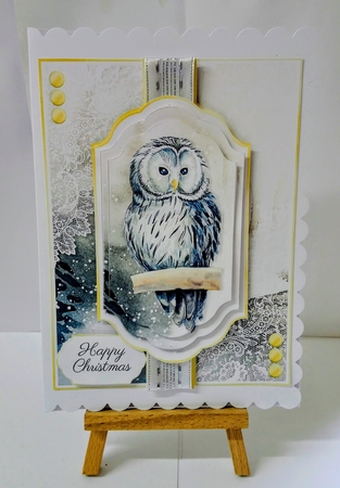 Owl Christmas and Birthday 2 by Jackie Odonnell