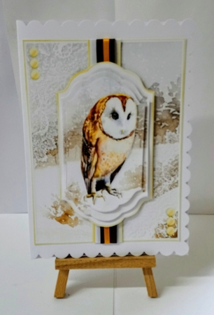 Owl Christmas and Birthday 3 by Jackie Odonnell