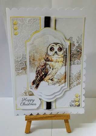Owl Christmas and Birthday 4 by Jackie Odonnell