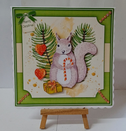 Squirrel Christmas Mini Kit by Jackie Odonnell