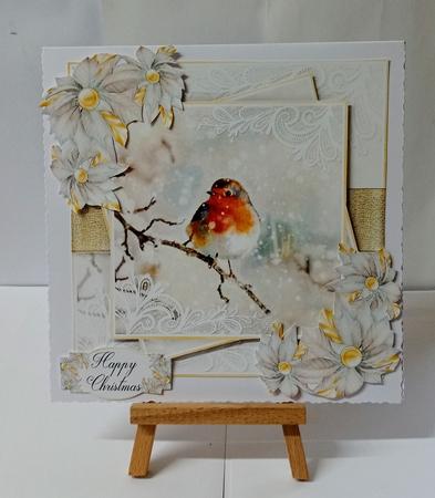 Winter Wonderland 20...10 Robin by Jackie Odonnell