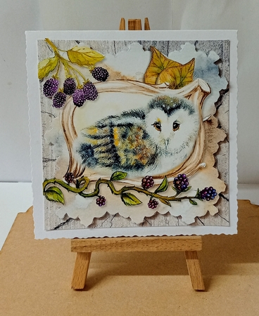 Fuzzie Wuzzies 4 Card Front and Inserts Kit by Jackie Odonnell