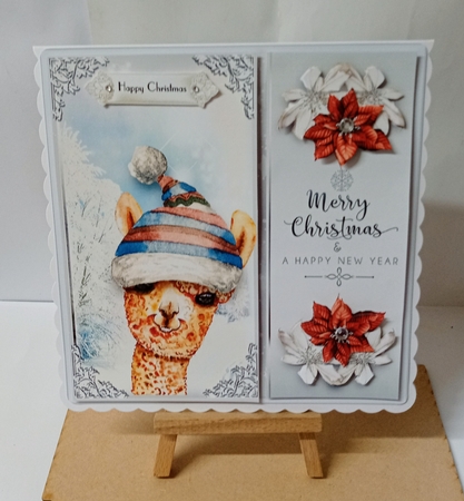 Cute Alpaca Wishes  by Jackie Odonnell