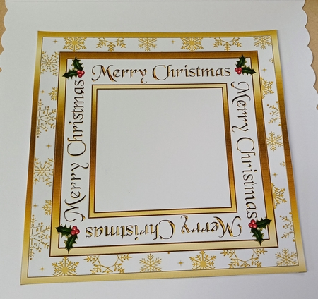 Snowflakes insert by Jackie Odonnell