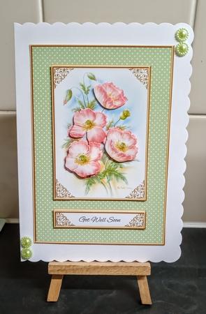 Get Well - Lovely Rob Pohl Poppies Topper (Green) by Jackie Odonnell